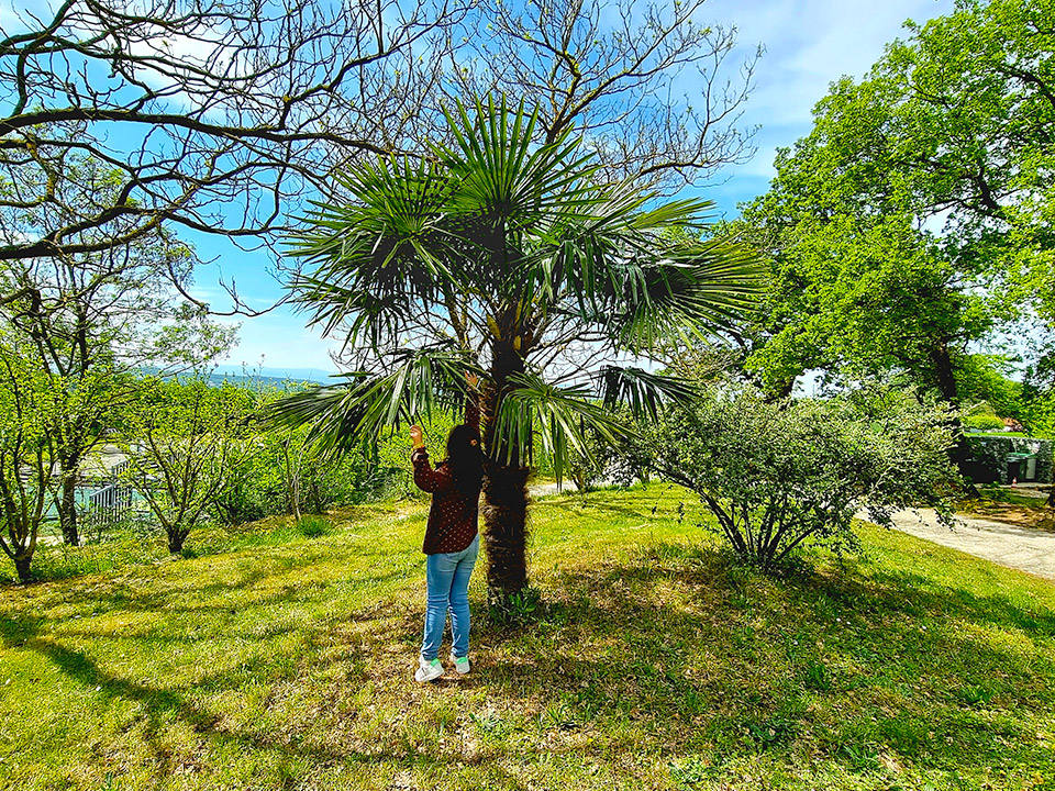 Vue jardin